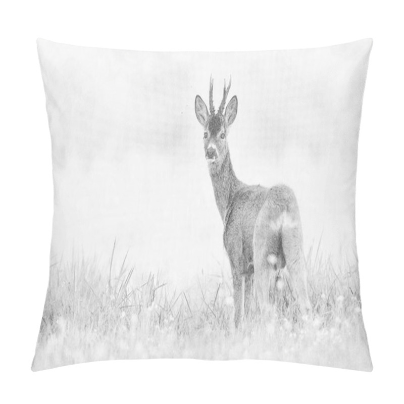 Personality  Roe Deer Buck( Capreolus Capreolus ) - Sketch Pillow Covers