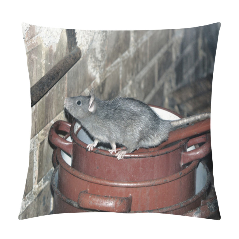 Personality  Rat On Cooking Pots Pillow Covers