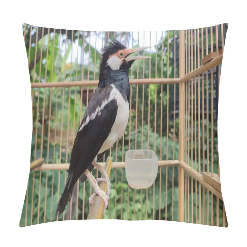 Personality  Suren Starlings In A Cage Pillow Covers