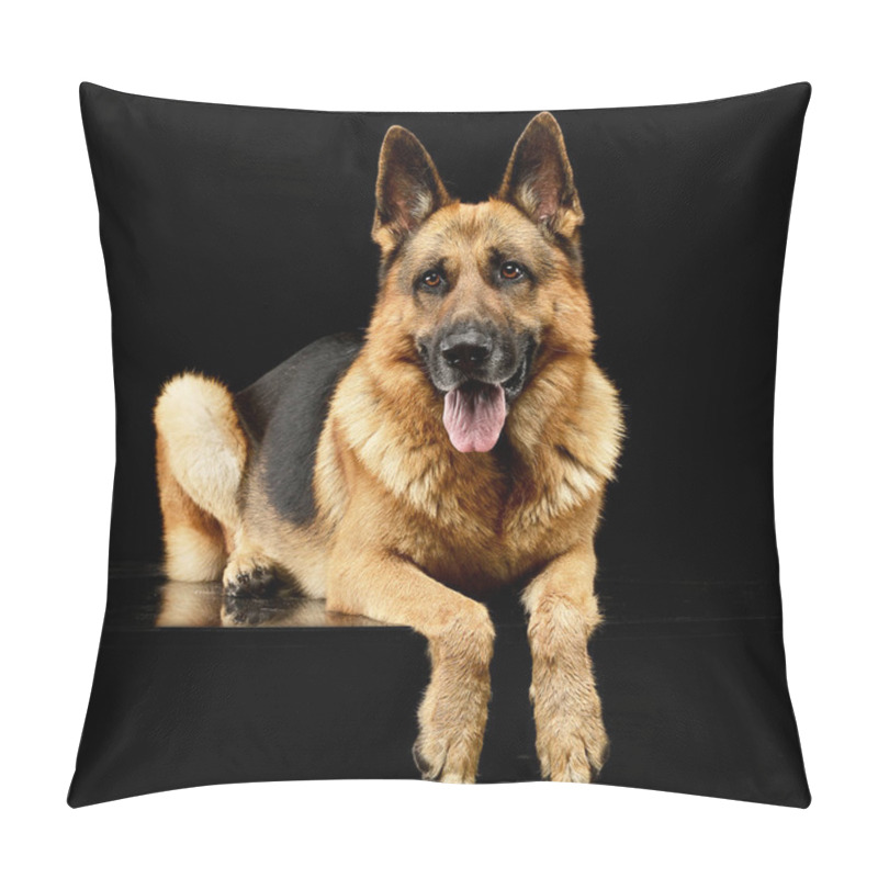 Personality  Studio Shot Of An Adorable German Shepherd Dog Lying On Black Background. Pillow Covers