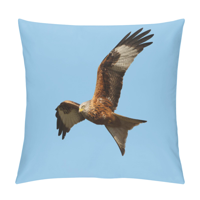 Personality  Red Kite (Milvus Milvus) In Flight Against Clear Blue Sky, UK. Pillow Covers