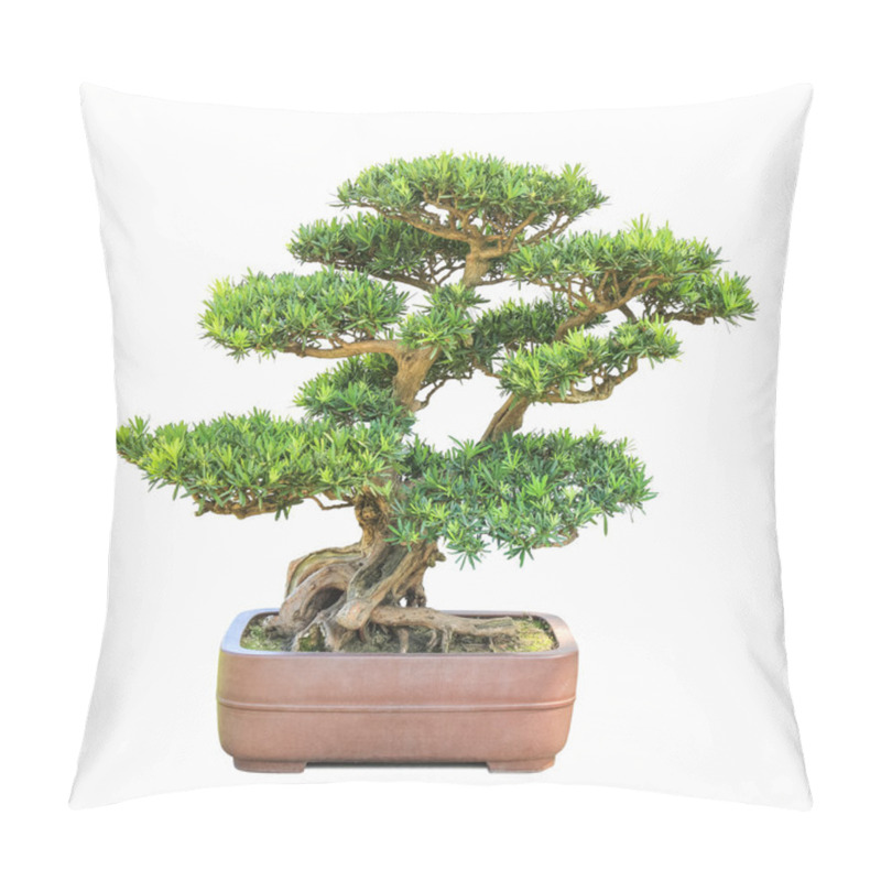 Personality  Green Bonsai Elm Tree Pillow Covers