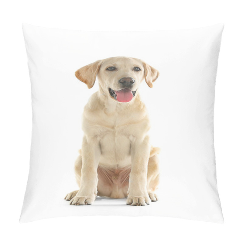 Personality  Cute Labrador Dog Pillow Covers