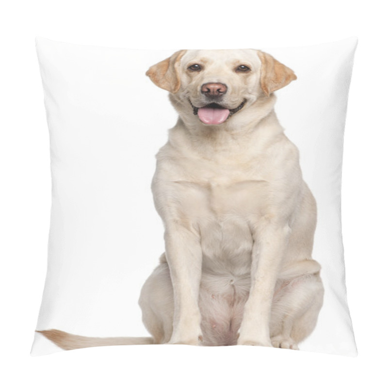 Personality  Labrador Retriever, 4 Years Old, Sitting In Front Of White Background Pillow Covers