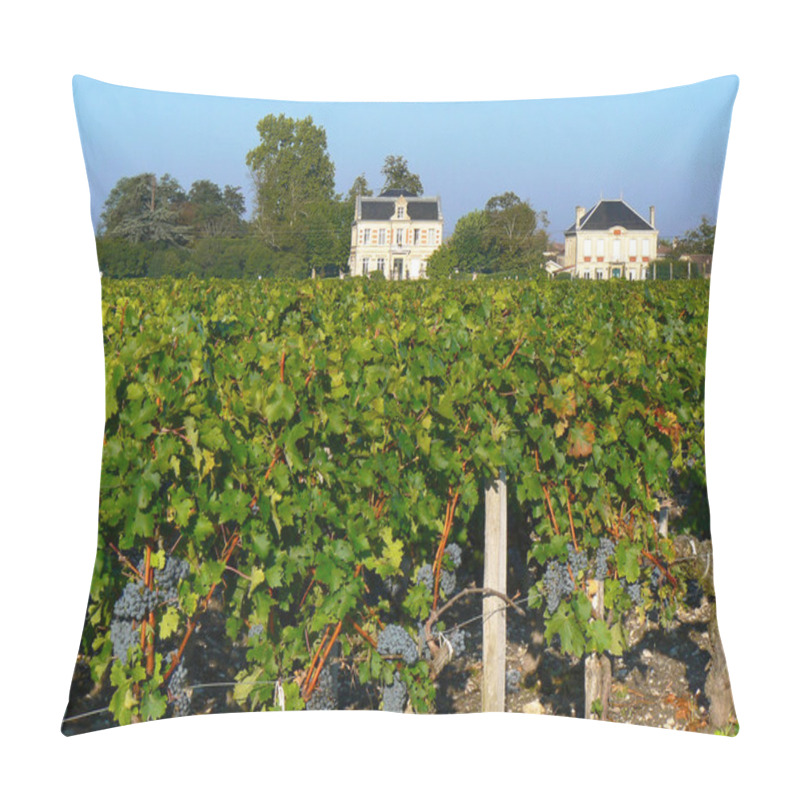 Personality  Bordeaux Vineyard Pillow Covers