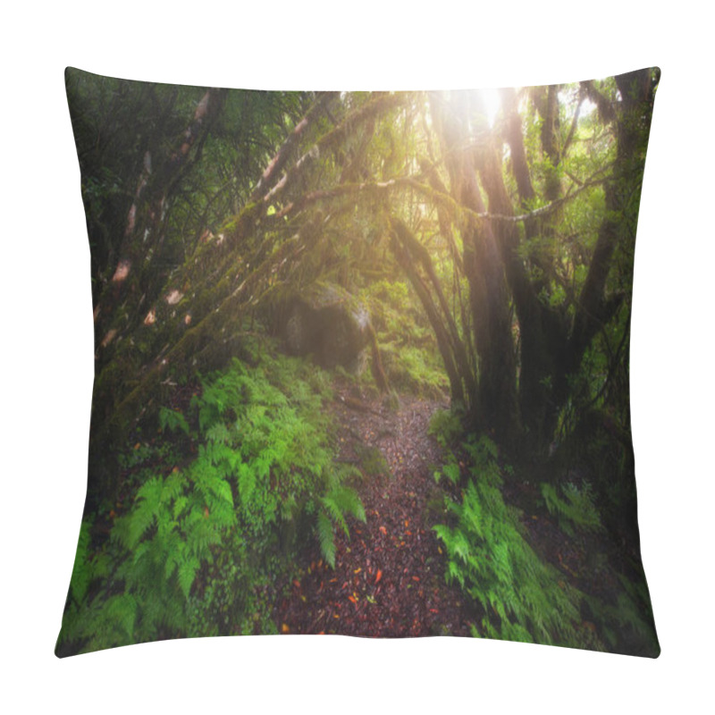 Personality  Beautiful Morning In Enchanted Forest Pillow Covers