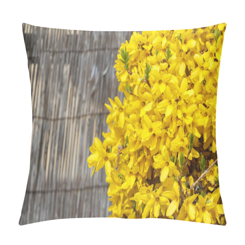 Personality  Forsythia Pillow Covers