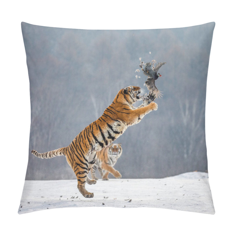 Personality  Siberian Tiger Jumping While Catching Prey Bird In Wintry Forest, Siberian Tiger Park, Hengdaohezi Park, Mudanjiang Province, Harbin, China.  Pillow Covers