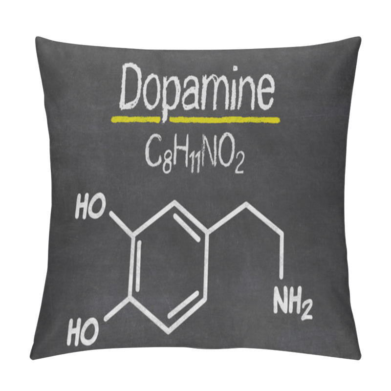 Personality  Blackboard With The Chemical Formula Of Dopamine Pillow Covers