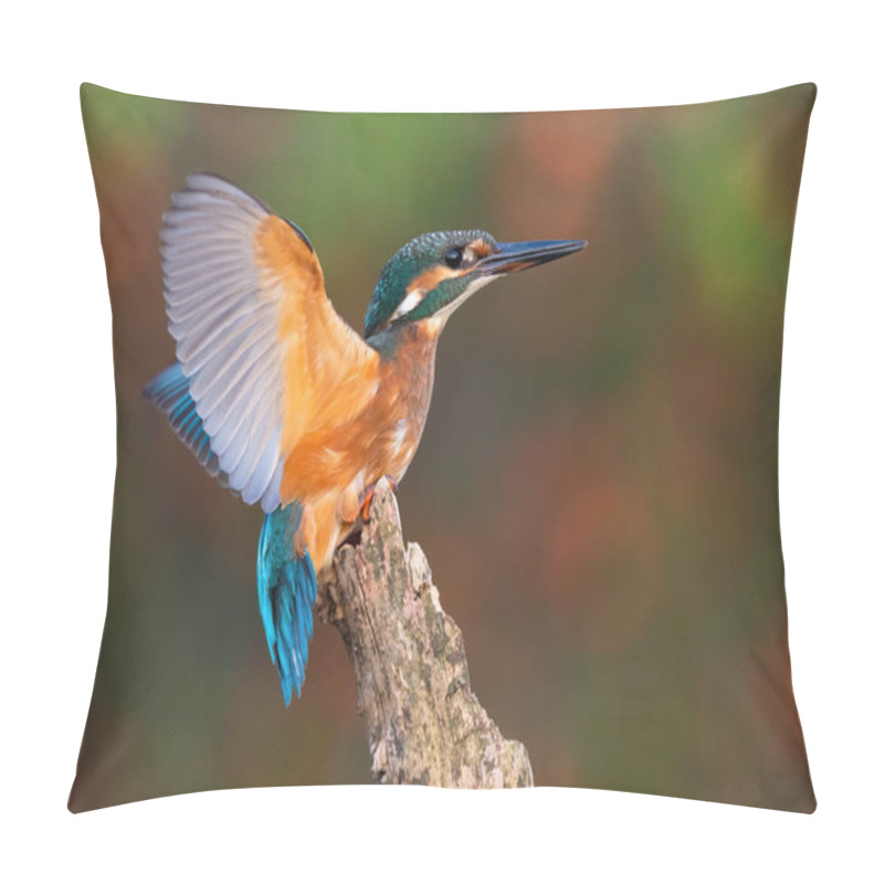 Personality  Common Kingfisher Landing On Branch In Summer From Side Pillow Covers