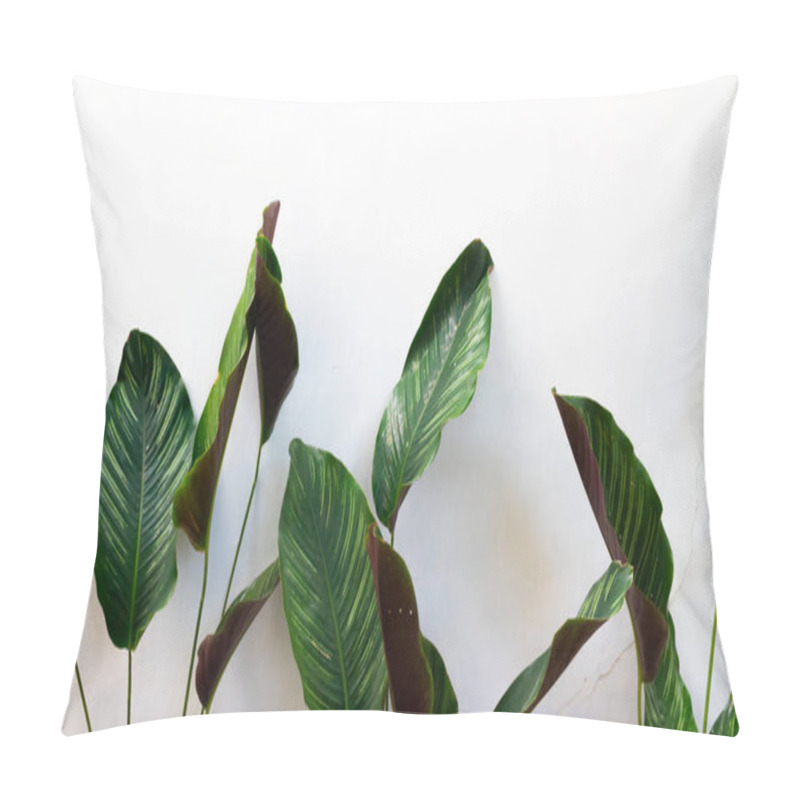 Personality  Leaves Of Plants In The Garden With Isolated Background Pillow Covers