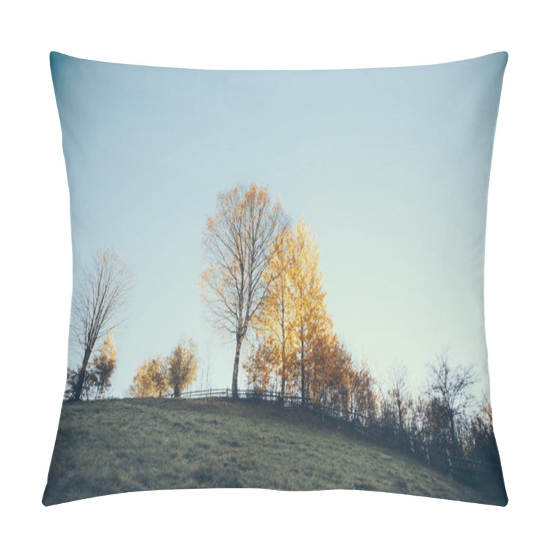 Personality  Beautiful Mountain Pasture In Vorokhta Under Blue Sky, Carpathians, Ukraine Pillow Covers