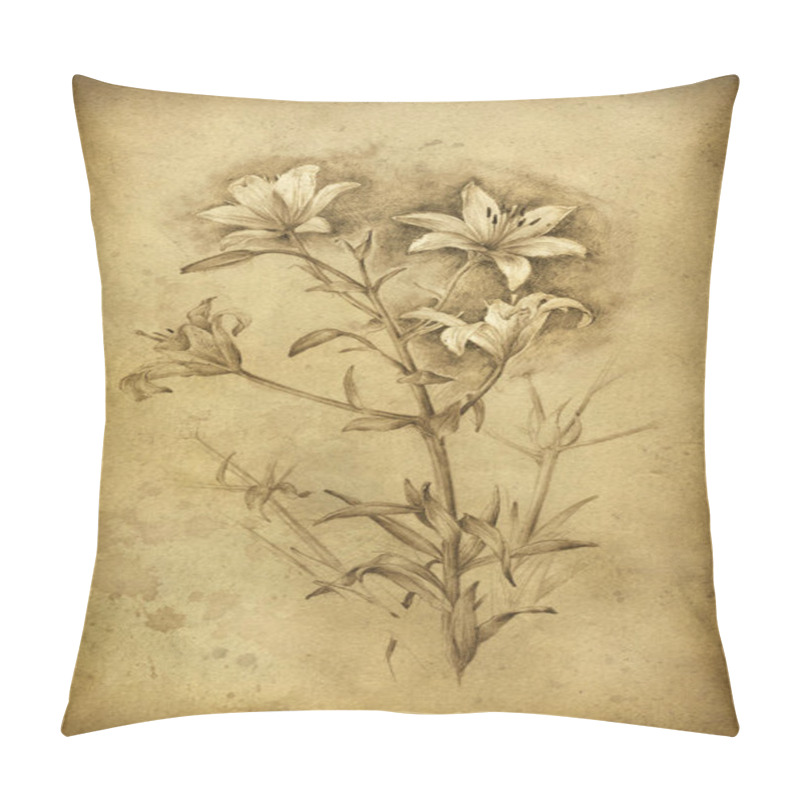 Personality  Handmade Drawing Of Lily Flowers, Pencil On Paper, Slightly Edited. Pillow Covers