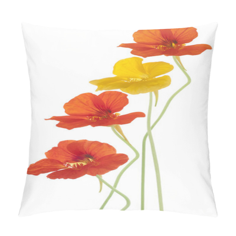 Personality  Nasturtium Pillow Covers