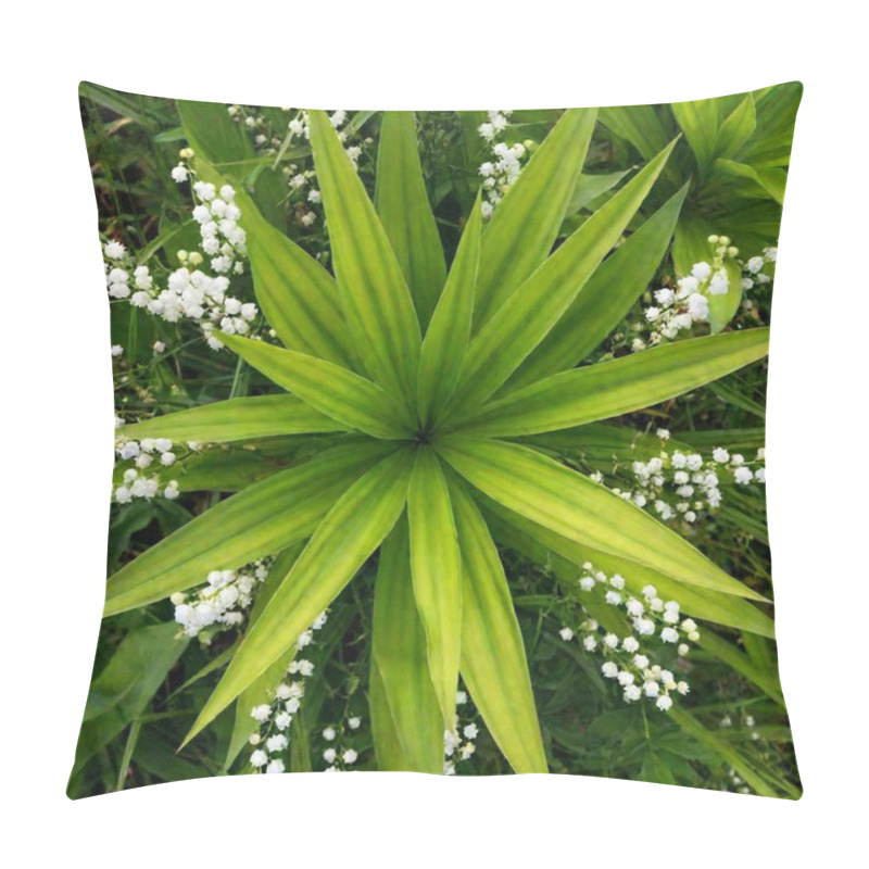 Personality  Green Leaves Of The Tree In The Forest Pillow Covers