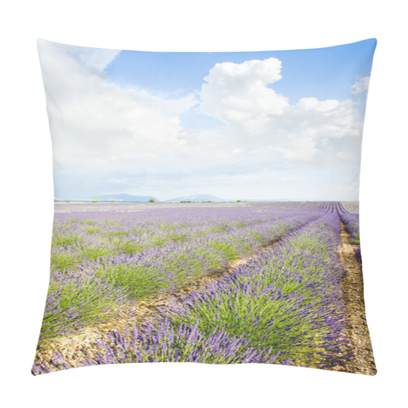 Personality  Lavender Field Pillow Covers