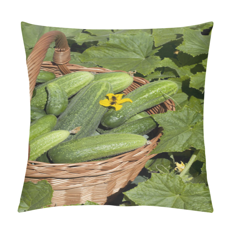 Personality  Fresh Cucumber In Basket Pillow Covers