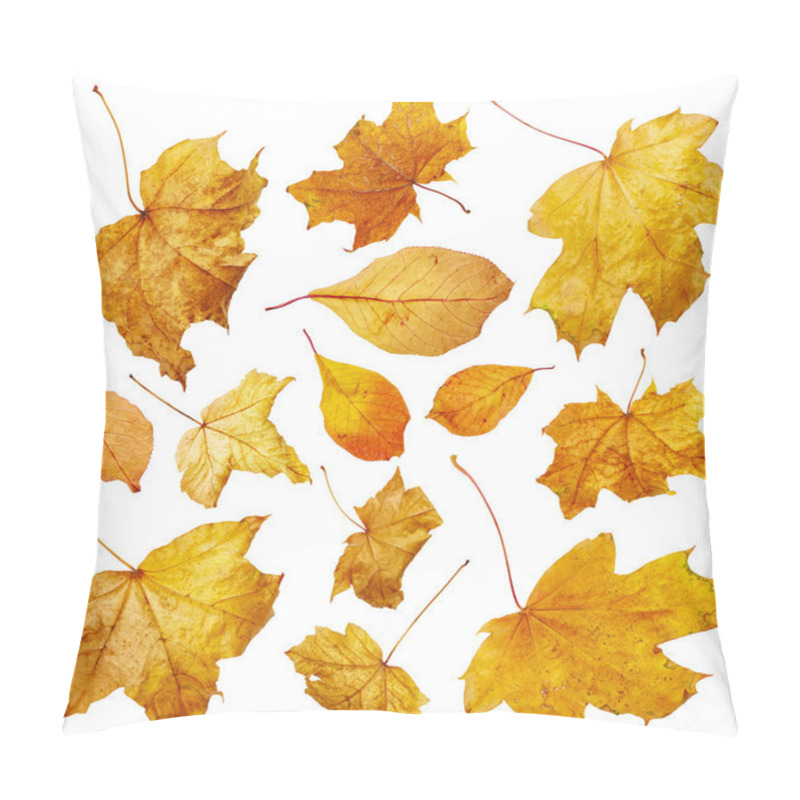 Personality  Autumn Leaves. Set Pillow Covers