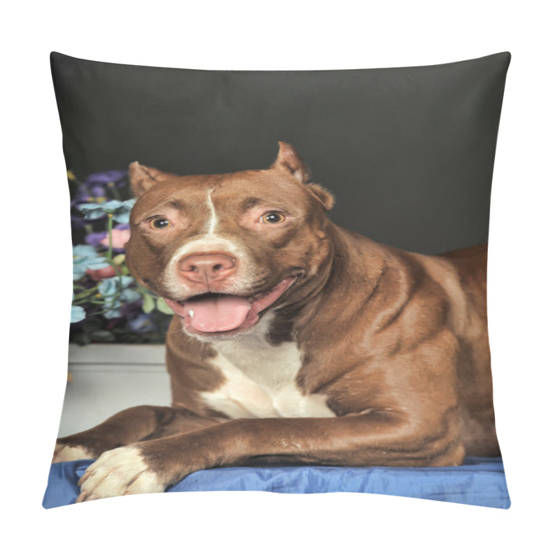 Personality  Pit Bull Terrier In Studio With Flowers Pillow Covers