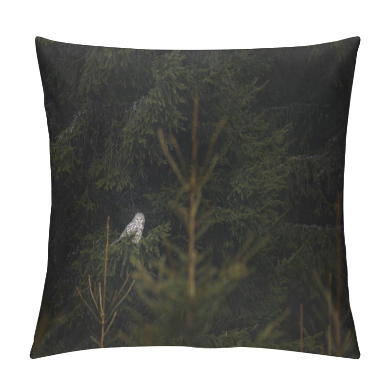 Personality  Owl In The Spruce Tree Forest Habitat, Sumava NP,  Czech Republic. Ural Owl, Strix Uralensis, Sitting On Tree Branch, In Green Leaves Oak Forest, Wildlife Scene From Nature. Habitat With Wild Bird. Pillow Covers