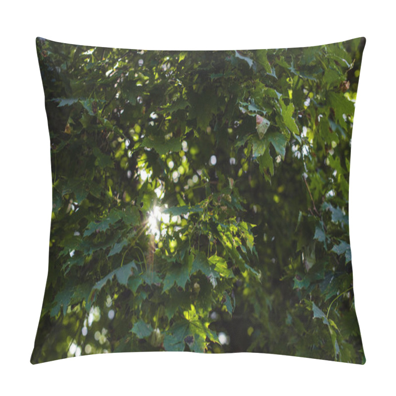 Personality  Sunlight In Green Leaves Of Tree At Summertime Pillow Covers