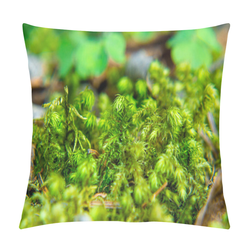 Personality  Forest Moss In The Spring Forest Close-up And Selective Focus Pillow Covers