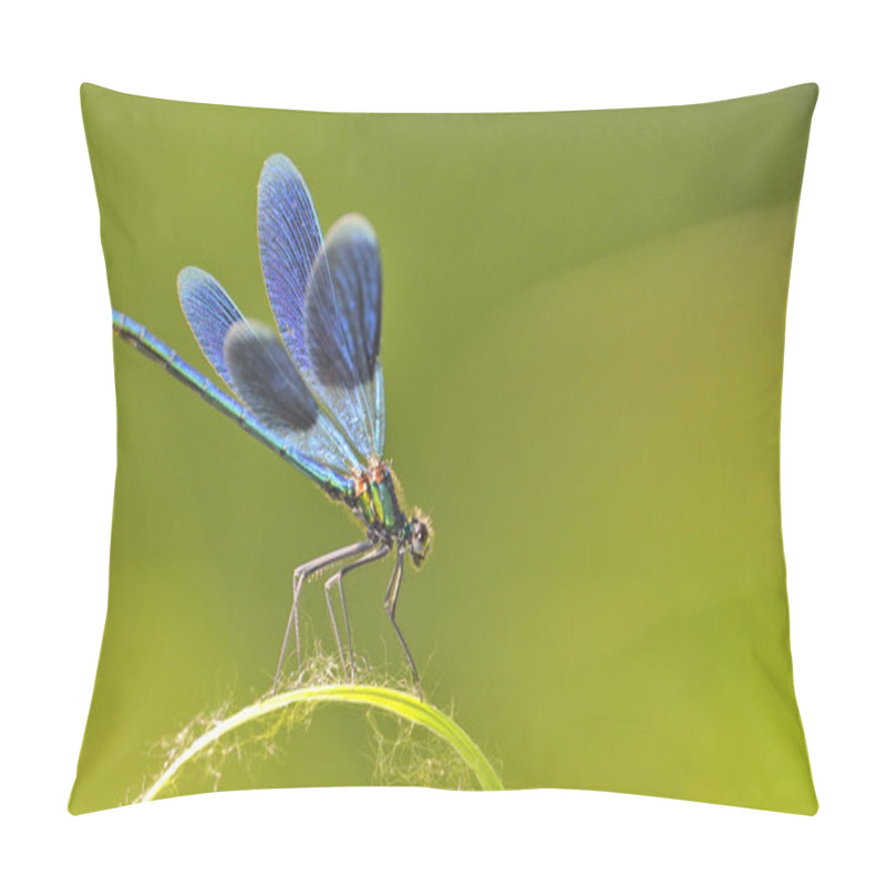 Personality  The Blue Dragonfly  Pillow Covers