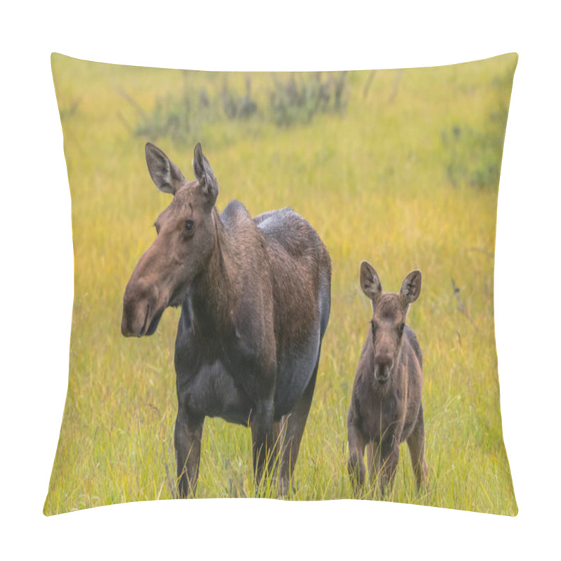 Personality  Moose Calf Alert Next To Mother Pillow Covers