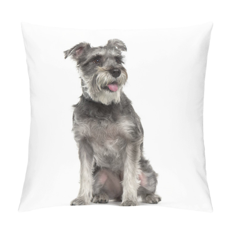 Personality  Miniature Schnauzer Sitting In Front Of White Background Pillow Covers