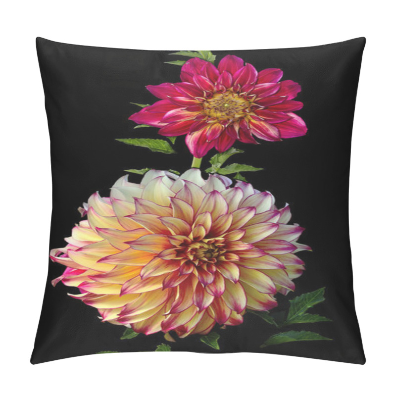 Personality  Beautiful Dahlias Pillow Covers