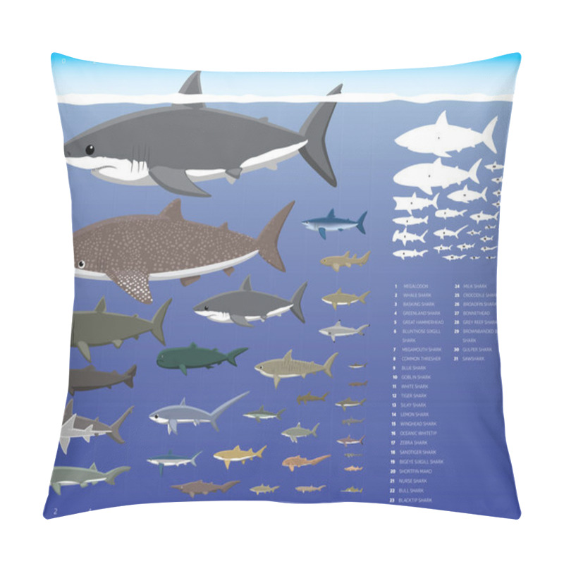 Personality  Shark Sizes Comparisons Cartoon Vector Illustration Set Pillow Covers