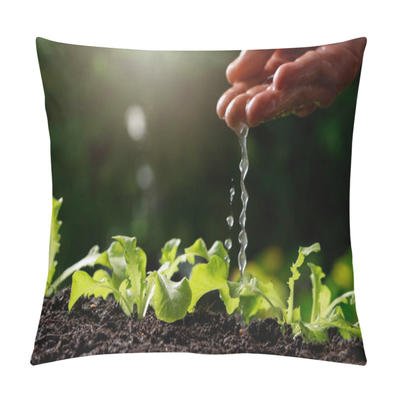 Personality  Close Up Farmer Hand Watering Young Baby Green Oak, Lettuce, Pillow Covers