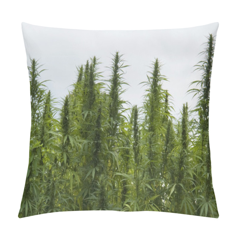 Personality  Hemp Field Detail Pillow Covers