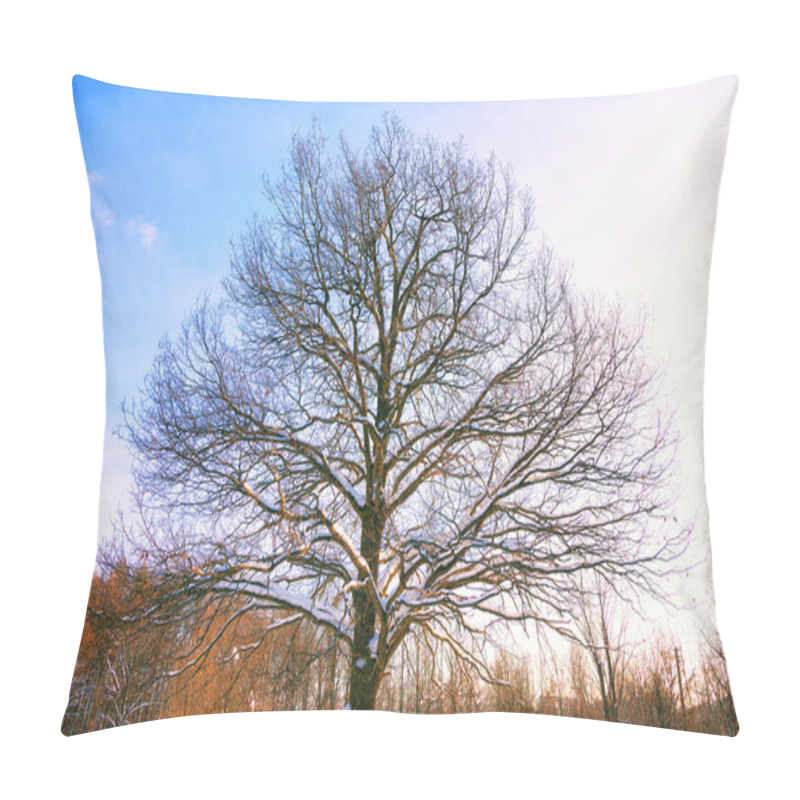 Personality  Beautiful Silhouette Of An Oak Tree At Sunset In Winter Pillow Covers