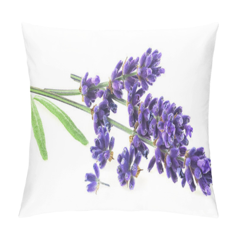 Personality  Lavender Flowers And Green Leaves Isolated On A White Background. Alternative Medicine Concept. Pillow Covers