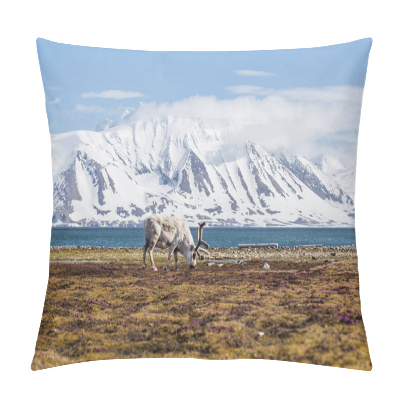 Personality  Photo Of Furry Reindeer In Tundra With Gorgeous Landscape Behind It Pillow Covers