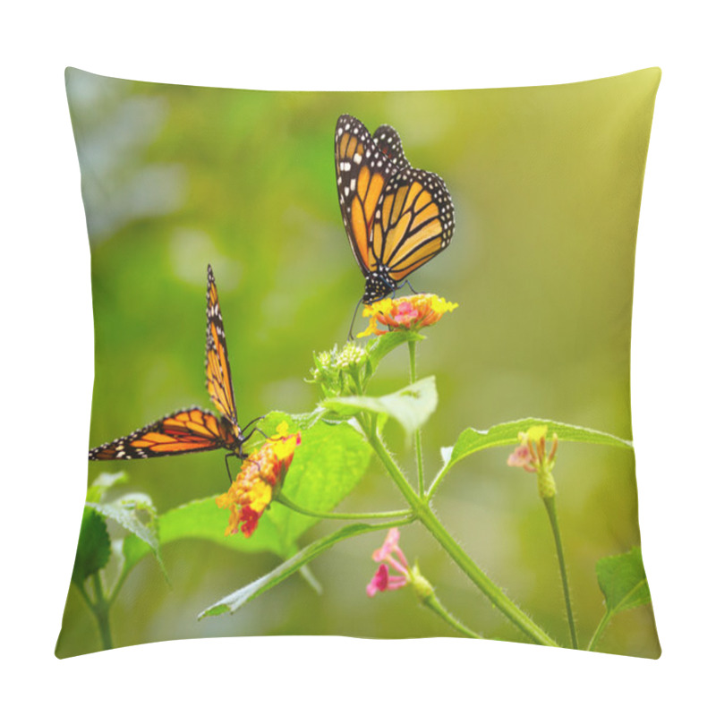 Personality  Two Tiger Butterfly On The Flowers Pillow Covers