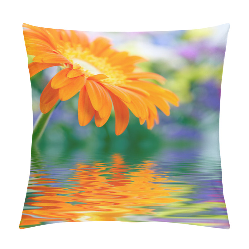 Personality  Closeup Photo Of Yellow Daisy-gerbera Pillow Covers