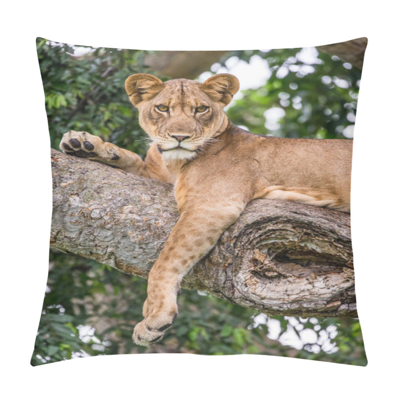 Personality  Lioness Lying On Tree Pillow Covers