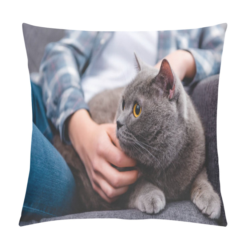 Personality  Partial View Of Woman Stroking Cute British Shorthair Cat   Pillow Covers