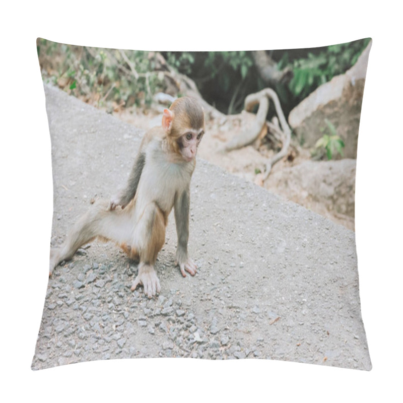 Personality  Dec 24 2024 Monkeys Engaged In Grooming Behavior, Sitting On A Rock Pillow Covers