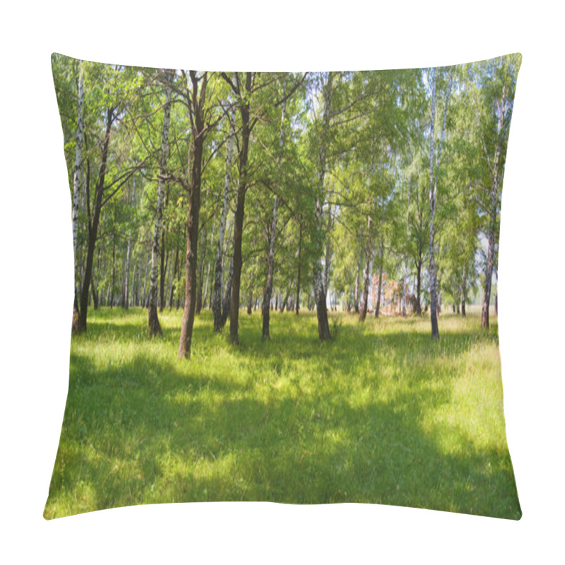 Personality  Summer Forest On Sunny Morning Pillow Covers