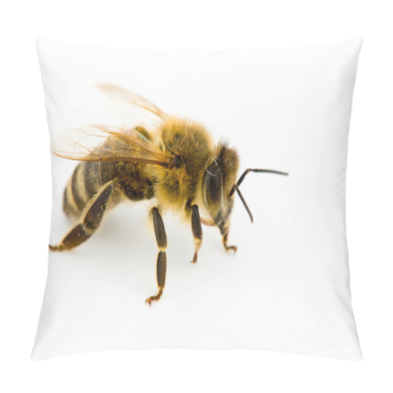 Personality  Isolated Honeybee Pillow Covers