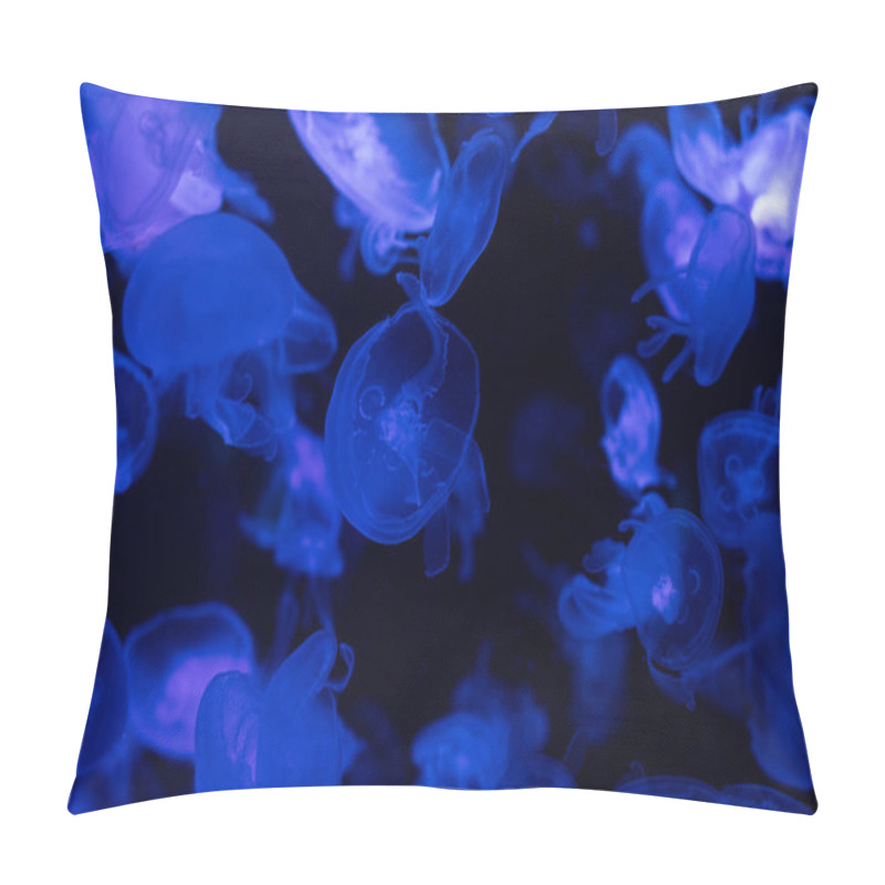 Personality  Jellyfishes Swimming Under Water In Aquarium With Blue Lighting Pillow Covers