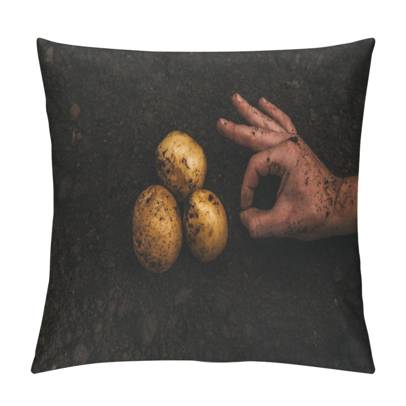 Personality  Cropped View Of Farmer Showing Okay Sign Near Ripe Natural Potatoes In Ground Pillow Covers