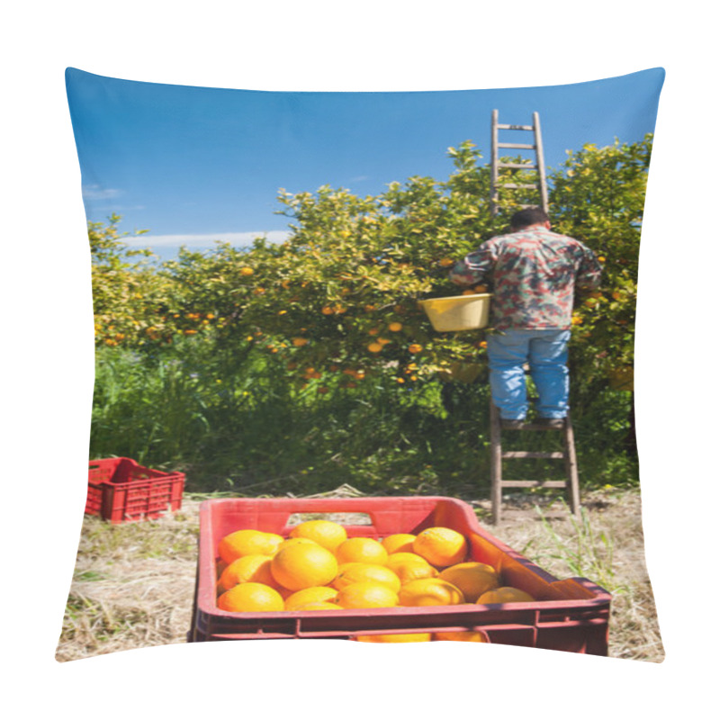 Personality  Harvest Season Pillow Covers