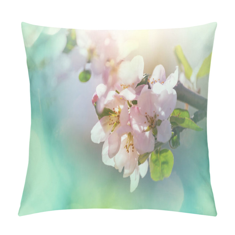 Personality  Flowers Of The Cherry Blossoming In The Spring Garden Pillow Covers