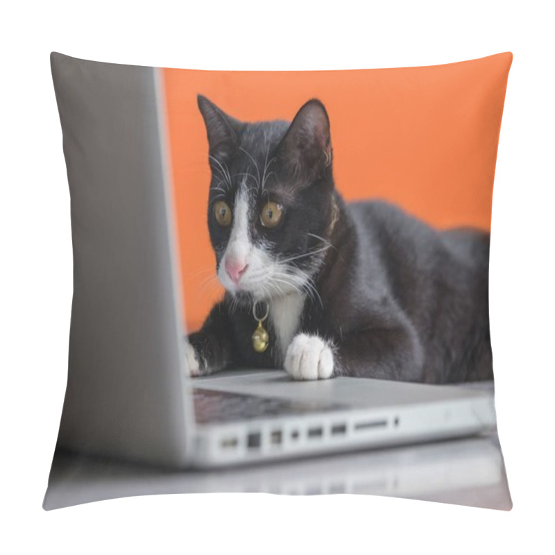 Personality  Black Cat Working At The Computer As A Developer Online Pillow Covers