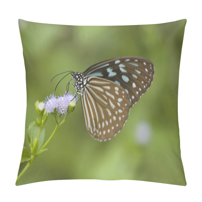 Personality  Orange Butterfly In Tropics Pillow Covers