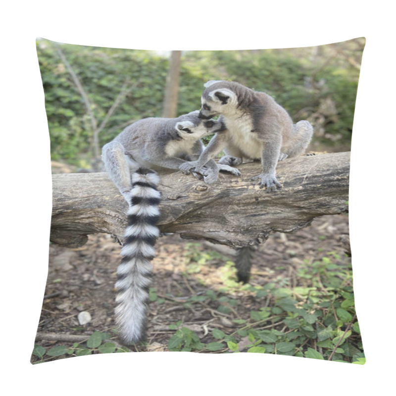 Personality  A Vertical Shot Of Cute Ring-tailed Lemurs Playing On A Tree In A Park Pillow Covers